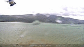 Sandpoint Online ... animated GIF