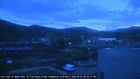 Busey Brews Neder... animated GIF
