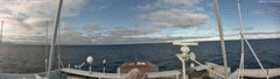 MS Serenissima animated GIF