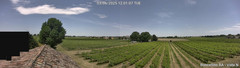 view from Boncellino Nord on 2025-06-03