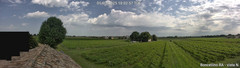 view from Boncellino Nord on 2025-07-01