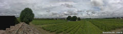 view from Boncellino Nord on 2025-07-28