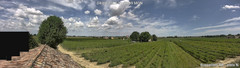 view from Boncellino Nord on 2025-08-04