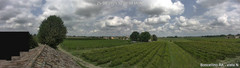 view from Boncellino Nord on 2025-08-25