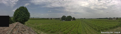 view from Boncellino Nord on 2026-06-01