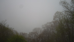 view from Sterchi Lodge on 2025-05-09
