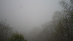 view from Sterchi Lodge on 2025-05-09