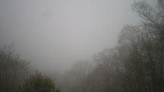 view from Sterchi Lodge on 2025-05-09