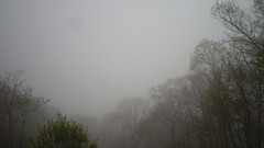 view from Sterchi Lodge on 2025-05-09