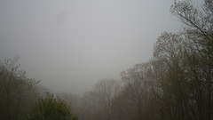 view from Sterchi Lodge on 2025-05-09