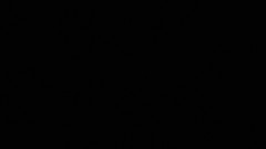 view from Sterchi Lodge on 2026-04-20