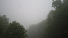 view from Sterchi Lodge on 2026-06-01