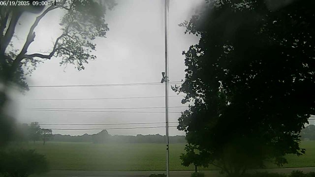 time-lapse frame, F1903P webcam