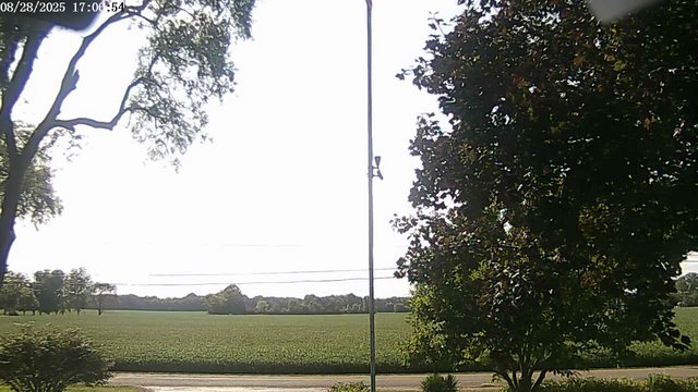 time-lapse frame, F1903P webcam