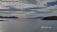 view from TMR - Marion Bay on 2026-06-01