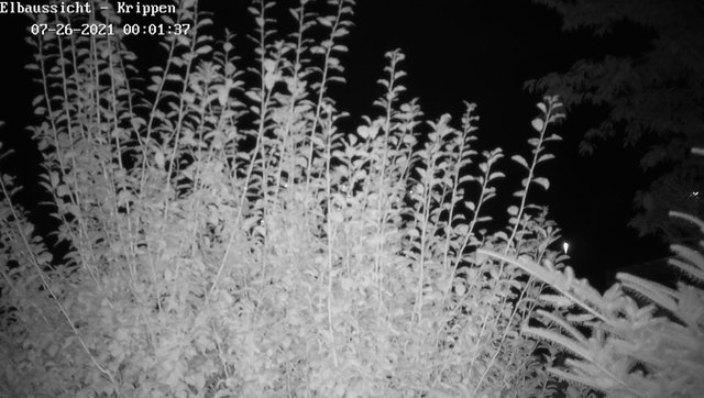 time-lapse frame, Webcam in Bad Schandau Sächsische Schweiz webcam