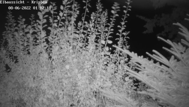 time-lapse frame, Webcam in Bad Schandau Sächsische Schweiz webcam