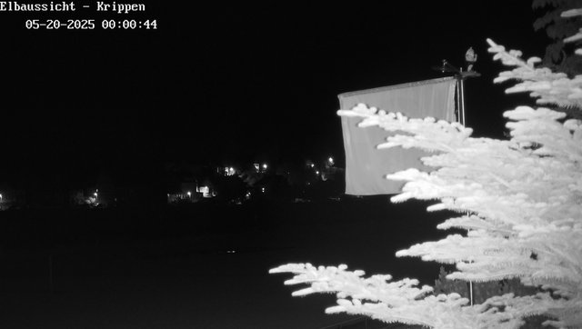time-lapse frame, Webcam in Bad Schandau Sächsische Schweiz webcam