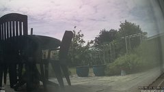 view from Ainsweather on 2025-06-23