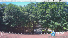view from Monte Fumaiolo on 2025-06-19