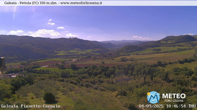 Galeata animated GIF