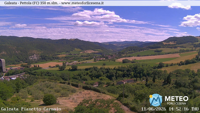 Galeata animated GIF