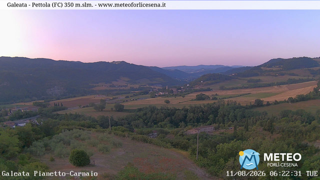 Galeata animated GIF
