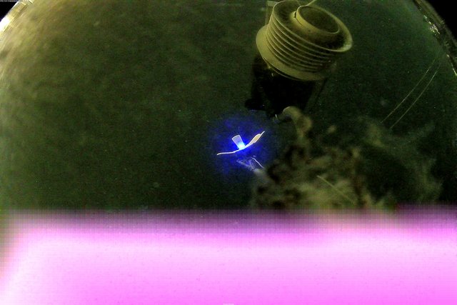 time-lapse frame, Oss. Met. di Gabicce Mare  Puntamento Zenith webcam