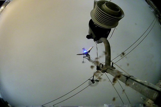 time-lapse frame, Oss. Met. di Gabicce Mare  Puntamento Zenith webcam