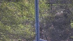 view from Alpe di Mera - Nivometro on 2026-05-12