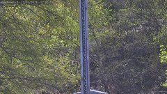 view from Alpe di Mera - Nivometro on 2026-05-21
