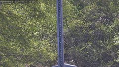 view from Alpe di Mera - Nivometro on 2026-05-23