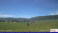 view from Pian Cansiglio - Agriturismo Malga Filippon on 2025-05-26