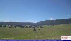 view from Pian Cansiglio - Agriturismo Malga Filippon on 2025-07-15