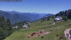 view from Alpe di Mera - Mera bassa on 2025-06-22