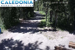 view from CNSC_4: Picadilly Access on 2025-06-07