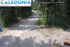 view from CNSC_4: Picadilly Access on 2025-06-11