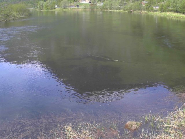 time-lapse frame, Borgundseelva webcam