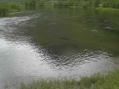 view from Borgundseelva on 2025-06-01