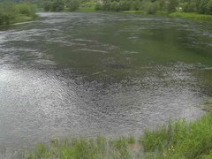 view from Borgundseelva on 2025-06-24