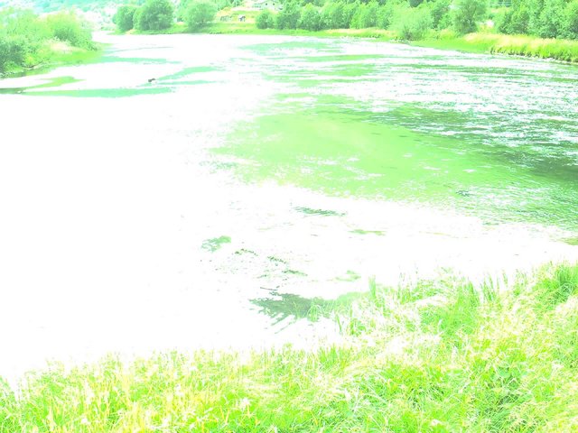 time-lapse frame, Borgundseelva webcam