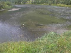 view from Borgundseelva on 2025-09-02