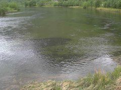 view from Borgundseelva on 2026-06-08