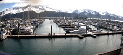 view from Seward Harbor on 2025-05-24