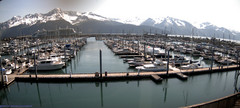 view from Seward Harbor on 2025-06-19