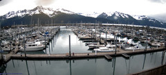 view from Seward Harbor on 2025-06-28