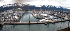 view from Seward Harbor on 2025-06-29