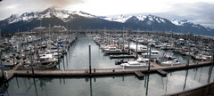 view from Seward Harbor on 2025-06-29