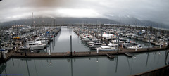 view from Seward Harbor on 2025-07-09