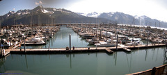 view from Seward Harbor on 2025-08-04